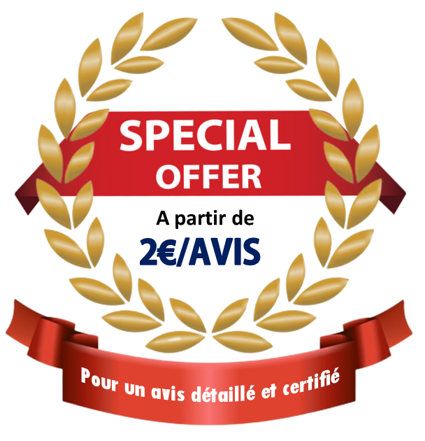 promo-avis-google
